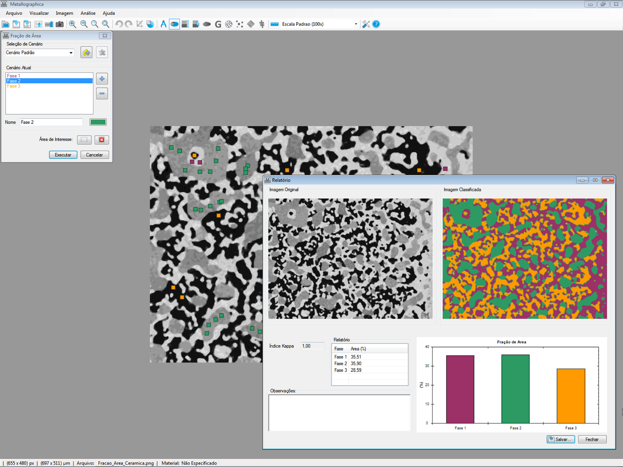 Interface do Metallographica para análise de fração de área